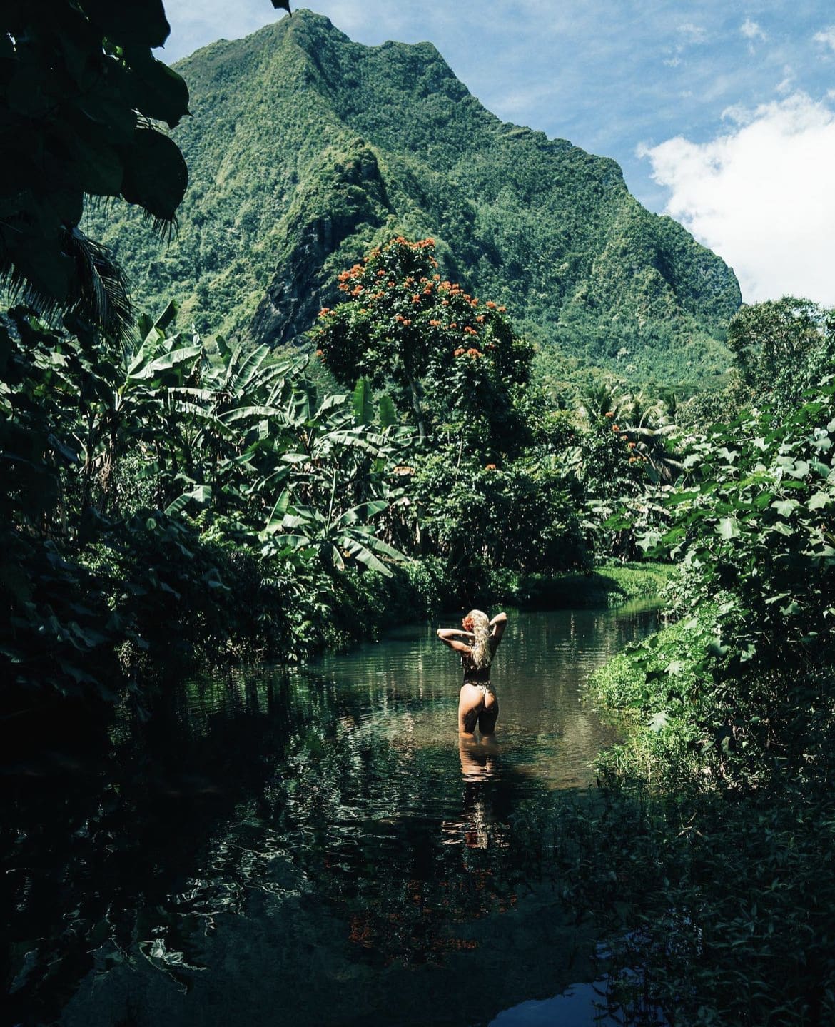 Exploring the jungle